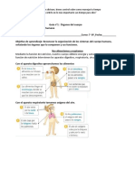 Guia-Nº1 Cuerpo-Humano7-8-Basico-Ciencias