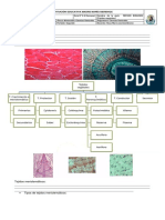 G11 Sem 2 Gua 2 REPASO BIOLOGIA Tejido Vegetal 2P