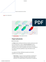 Flujo Turbulento