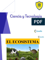 El Ecosistema