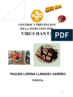 Virus Hanta Manual Trabajador Hanta Virus