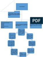 Anatomia Sistema Respiratorio