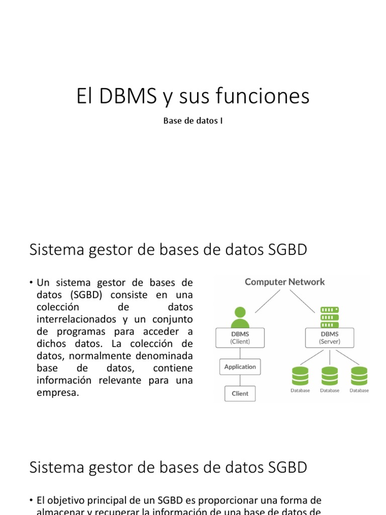 3. El DBMS y sus funciones | PDF