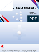 Methode Boule de Neige