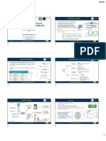 P7-Enzimas de Restricciã N - Clonaciã N - Transformaciã N - RFLP