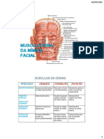 Musculatura Cuticular da Face - PDF