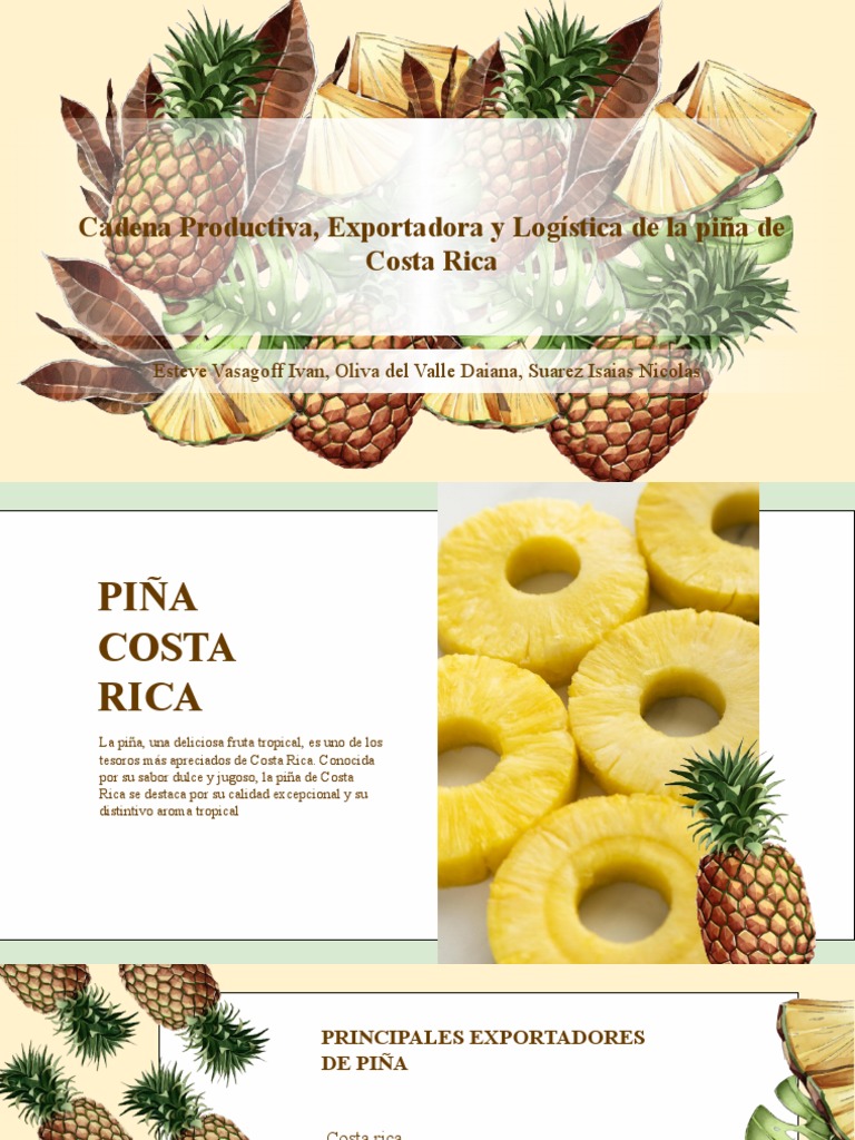 Presentacion Piña Costa Rica | PDF