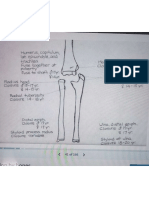 Age Estimation Xrays Forensic