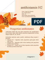 PPPT Antihistamin H2