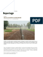 Chez Les Maraîchers de Sèmè-Kpodji - Afrique Agriculture