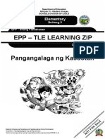 Epp - Tle Learning Zip Pangangalaga NG Kasuotan: Elementary