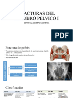 Fracturas Del Miembro Pelvico