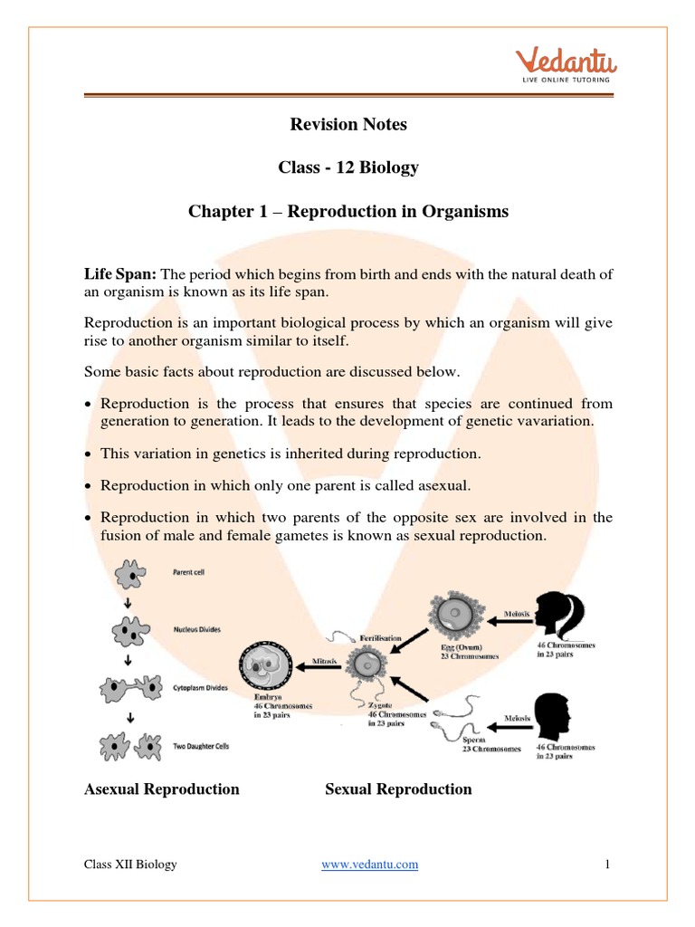 Reproduction In Organism Class 12 Notes Cbse Biology Chapter 1 Pdf Pdf