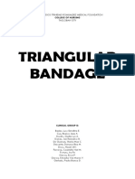 Triangular Bandage-Group D-Report