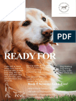 Dog Walker Leaflet Template2