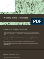 Wildlife in The Workplace - VH