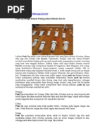 Download Push Up Dalam Olahraga Karate by apeplol SN66260358 doc pdf