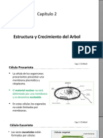 Cap 2 - Formación y Crecimiento Del Arbol