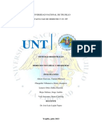 Sistema Registral Peruano - Informe