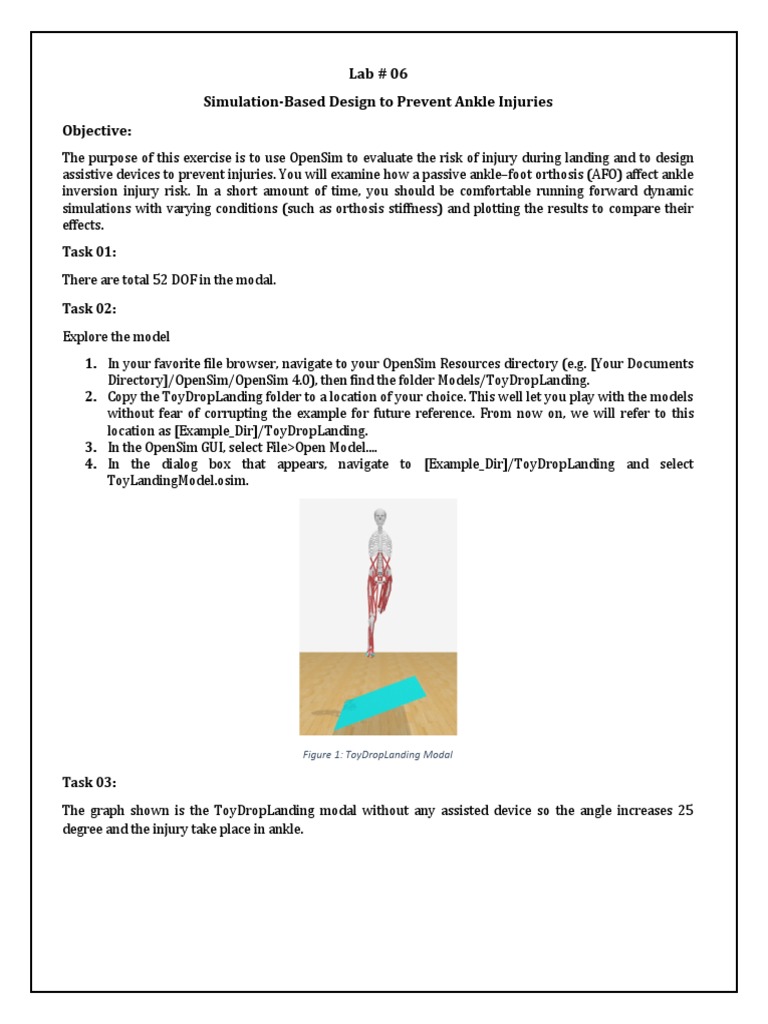 OpenSim GUI: Ankle Injury Prevention Design | PDF