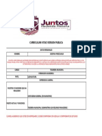 Curriculum Version Publica Tesoreria