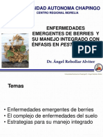 Enfermedades Emergentes en Berries y Su Manejo Integrado Con Enfasis en Pestalotiopsis