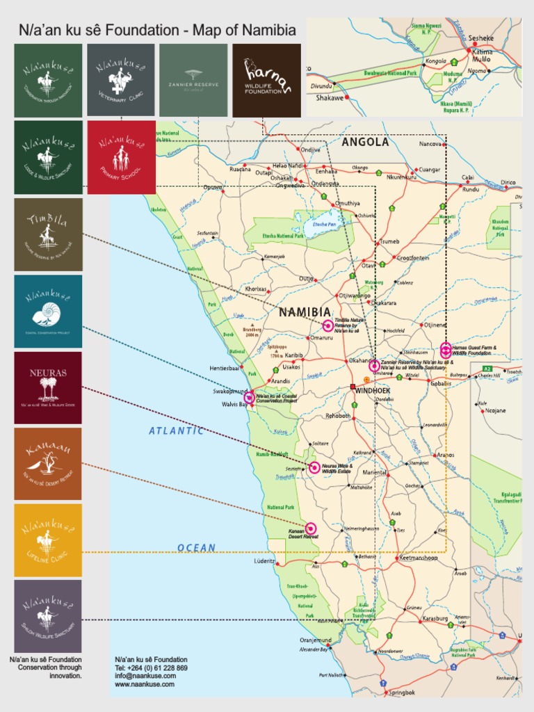 Namibia Wildlife & Conservation | PDF
