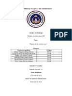 Informe Órganos de Los Sentidos