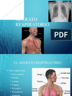 Pulmones y Tráquea