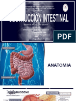 Obstruccion Intestinal - Cirugia