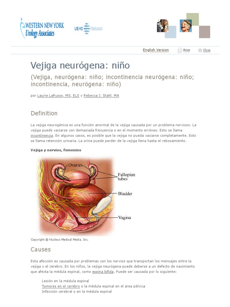 Vejiga neur gena ni o western new york urology associates llc pdf