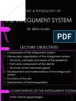 9 - Integument System Anatomy and Physiology