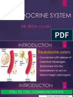 10 - The Endocrine System