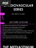 11 - Cardiovascular Series of Lectures