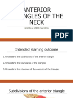 Anterior Triangles of The Neck