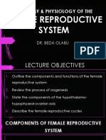 17b - Female Reproductive System - Anatomy and Physiology
