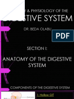 15b - Digestive System Anatomy and Physiology Series