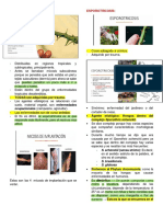 Clase 17 - Micosis de Implantación