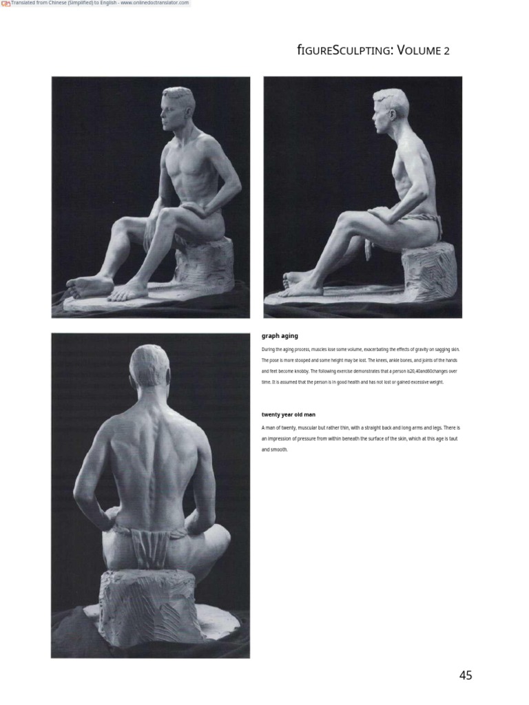 Aging Effects on Figure Sculpting | PDF
