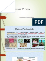 Protista