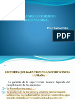 Notas Sobre Comercio Internacional Inesdyc