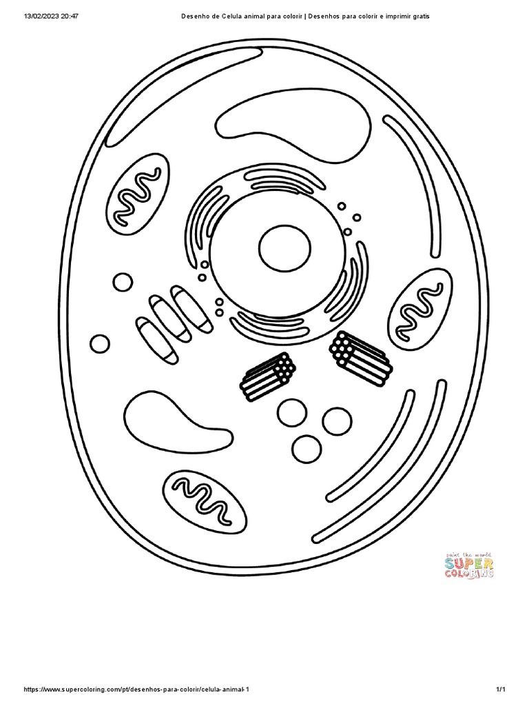 Desenho de Celula Animal para Colorir - Desenhos para Colorir e ...