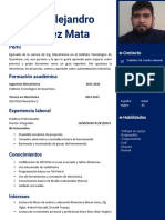 Nueva Plantilla Curriculum Vitae Original Gris Derecha