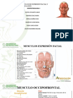 MORFO - MUSCULOS (1) .PPTX - Solo Lectura-1