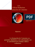 Exposición - Catarátas - Introducción A Bioquímica II