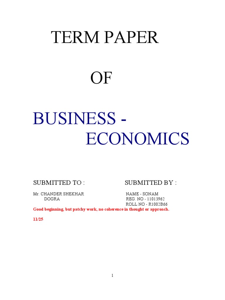 Term Paper OF: Business - Economics | PDF | Oligopoly | Demand