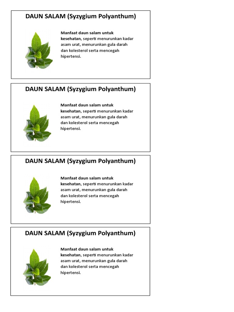 Daun Salam | PDF
