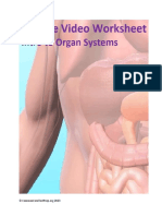 Organs Worksheet V2