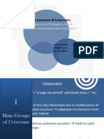 The Evolution of Cetaceans Evolutionary Phylogeny, Fossil Records and Evolutionary Novelties