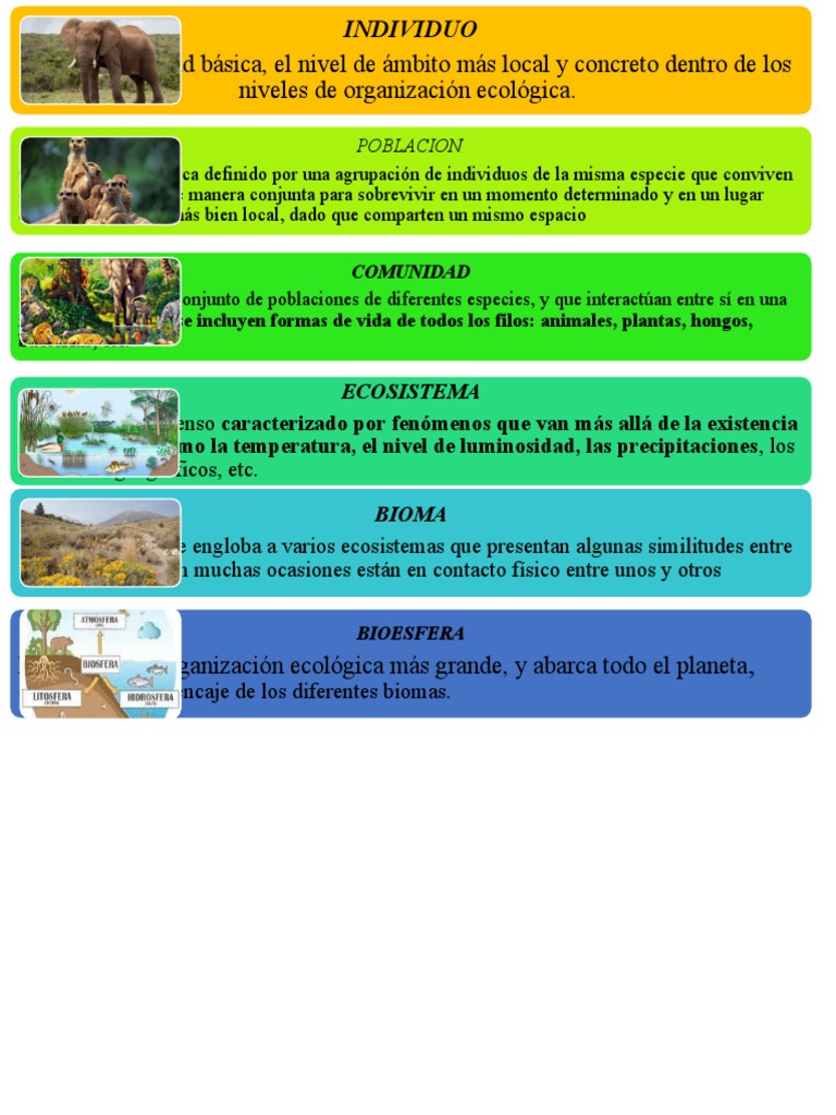 ECOLOGIA | PDF | Ecología | Ecosistema